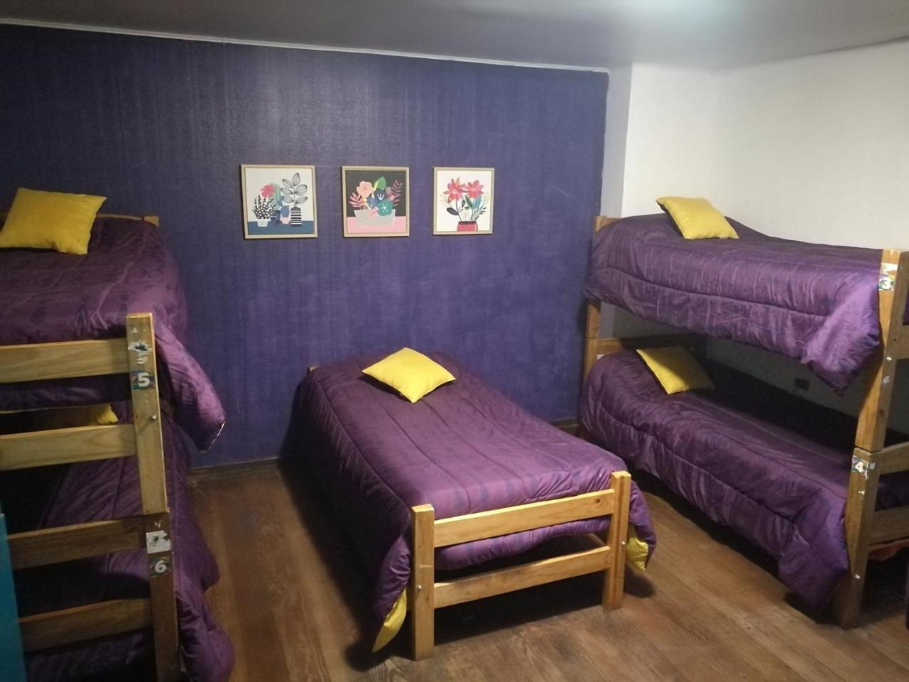 Columba Hostel 比尼亚德尔马 外观 照片
